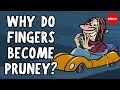 Understanding Pruney Fingers
