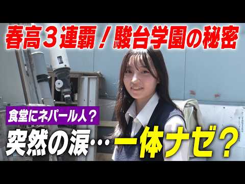 【潜入】バレーが校技?食堂に本場のカレー!春高三連覇の超名門・駿台学園のオキテ|名門のオキテ!駿台学園高校編#1