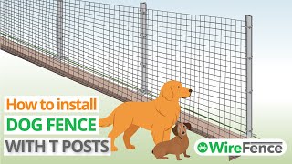 Video thumbnail for Dog fence installation for all size dogs