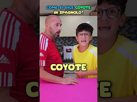 ๐จ Papร dice troppe PAROLACCE! Sono scioccato! ๐คฌ