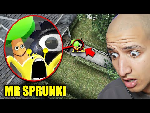 Drone Catches MR SPRUNKI FAMILY Outside My House...