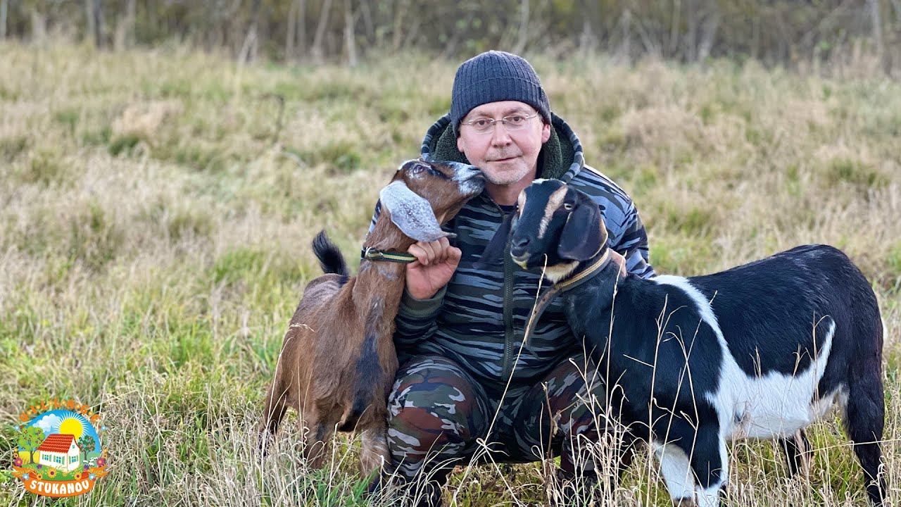 такая зима на кубани, первый день зимы, а снега нет