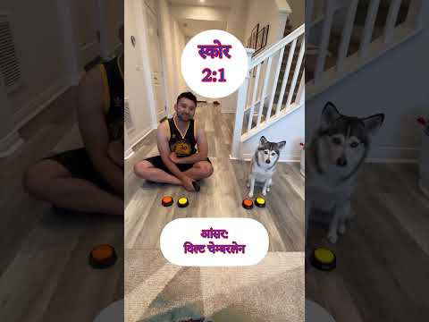 🏀 सैफी द पोम्स्की NBA ट्रिविया डैडी के साथ 😂 | Sapphie the pomsky NBA trivia with daddy #shorts