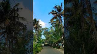 യാത്രകളോട് എന്നും പ്രണയം ❤️ #shortsfeed #travelling