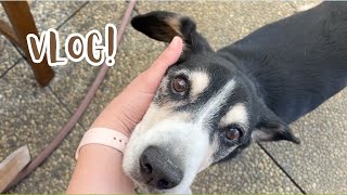 Poslední s Aronem ❤️ | VLOG