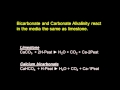 Water Quality and Alkalinity Concepts