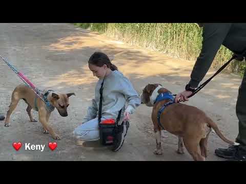 click to play the video