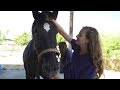 Veterinary Technology Career Insights