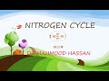 Nitrogen Cycle and Bacterial Processes