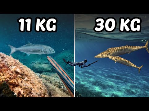 10 Disparos ÉPICOS a Peces GIGANTES - Pesca con ARPÓN
