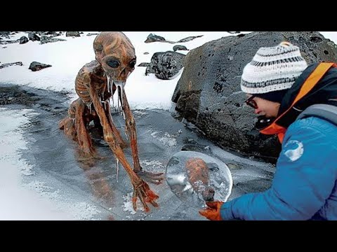 ¡Científicos Desconcertados! Criaturas Desconocidas Encontradas Congeladas en el Hielo