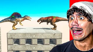 Reagindo ao Torneio 1 vs 1 de Animais no ARBS