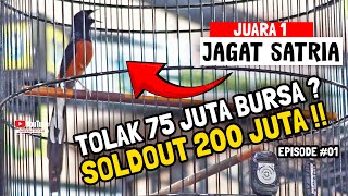 JAGAT SATRIA VIRAL‼️HADIAH MOTOR HANGUS BURSA 75 JUTA🔥 MURAI BATU INI SOLDOUT 200 JUTA 😱 Episode#01