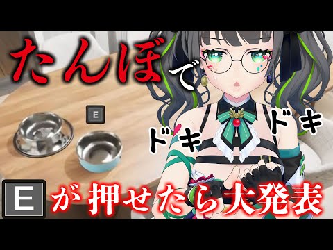 【たんぼ】Eボタンチャレンジ!押せたら大発表「たんぼ」【たみー/vtuber】