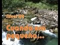 Exploring the Pretérito Imperfecto in Spanish