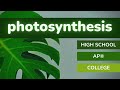 Photosynthesis Across Educational Levels