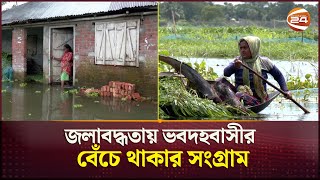 এভাবেও বাঁচা যায়! | Jessore | Waterlog | Manmade Crisis | Channel 24