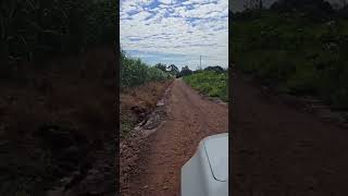 SÍTIO GRANDE PANORÂMICO PERTO DA CIDADE COM 2 CASAS ÁGUA E TERRA BOA R$ 2 MI - Código: 2639