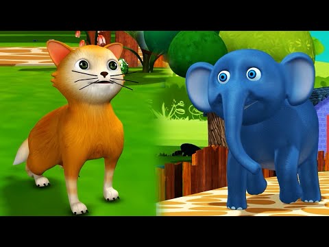 Hathi Raja + Main Tota Main Tota + Billi Mausi Billi Mausi | Hindi Rhymes | 3d Animated Videos