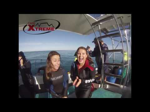 Shark Cage Diving - Cape Xtreme