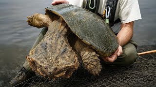 The Most Bizarre Catches!