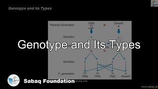Genotype and Its Types