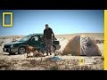 Narrator's Road Trip Traditions