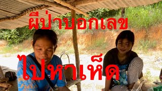 ผีป่าให้เห็นเลขชัดๆ ไปหาเห็ด 