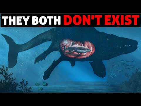 Megalodon के जिंदा होने की 3 ठोस वजह | Biggest Animal In The Ocean Depth | Megalodon Still Alive ?