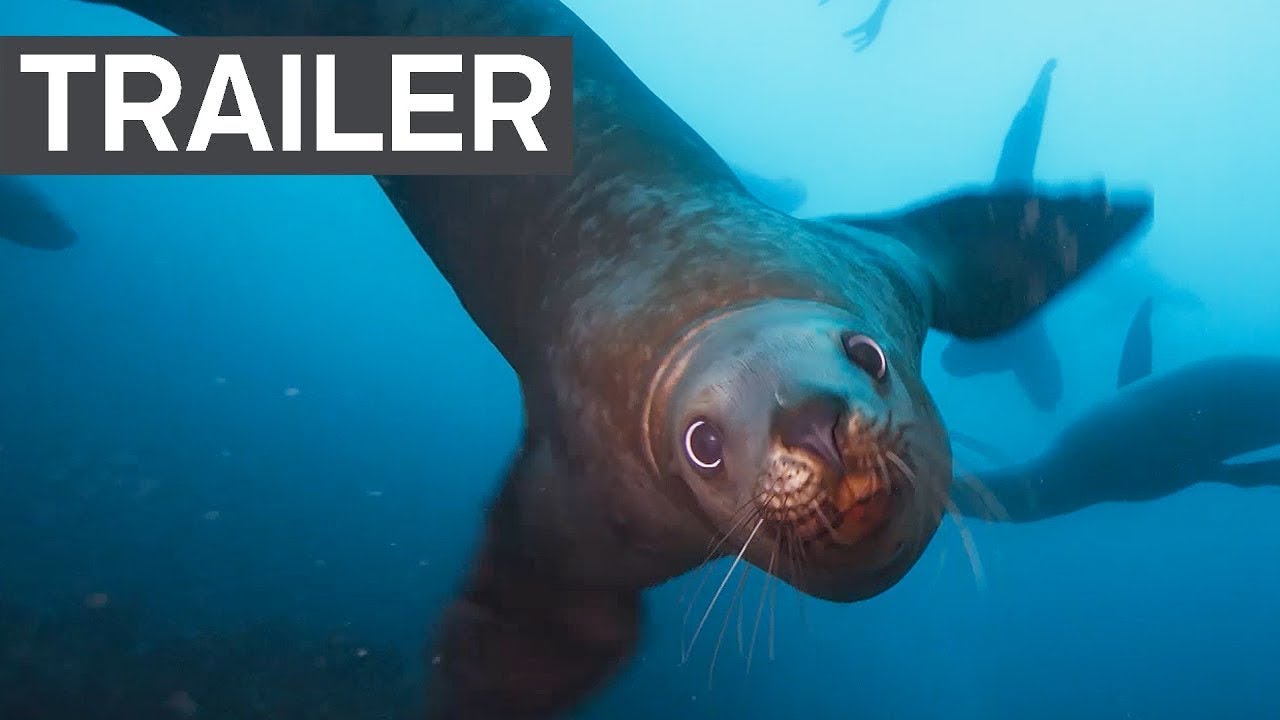 Blue Planet II Official Trailer 2 BBC Earth
