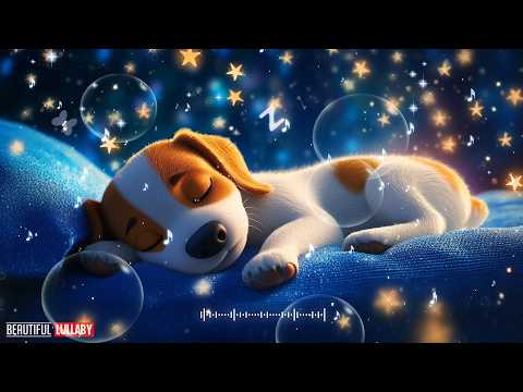 Baby Sleep Music, Lullaby for Babies To Go To Sleep #934 Mozart for Babies Intelligence Stimulation