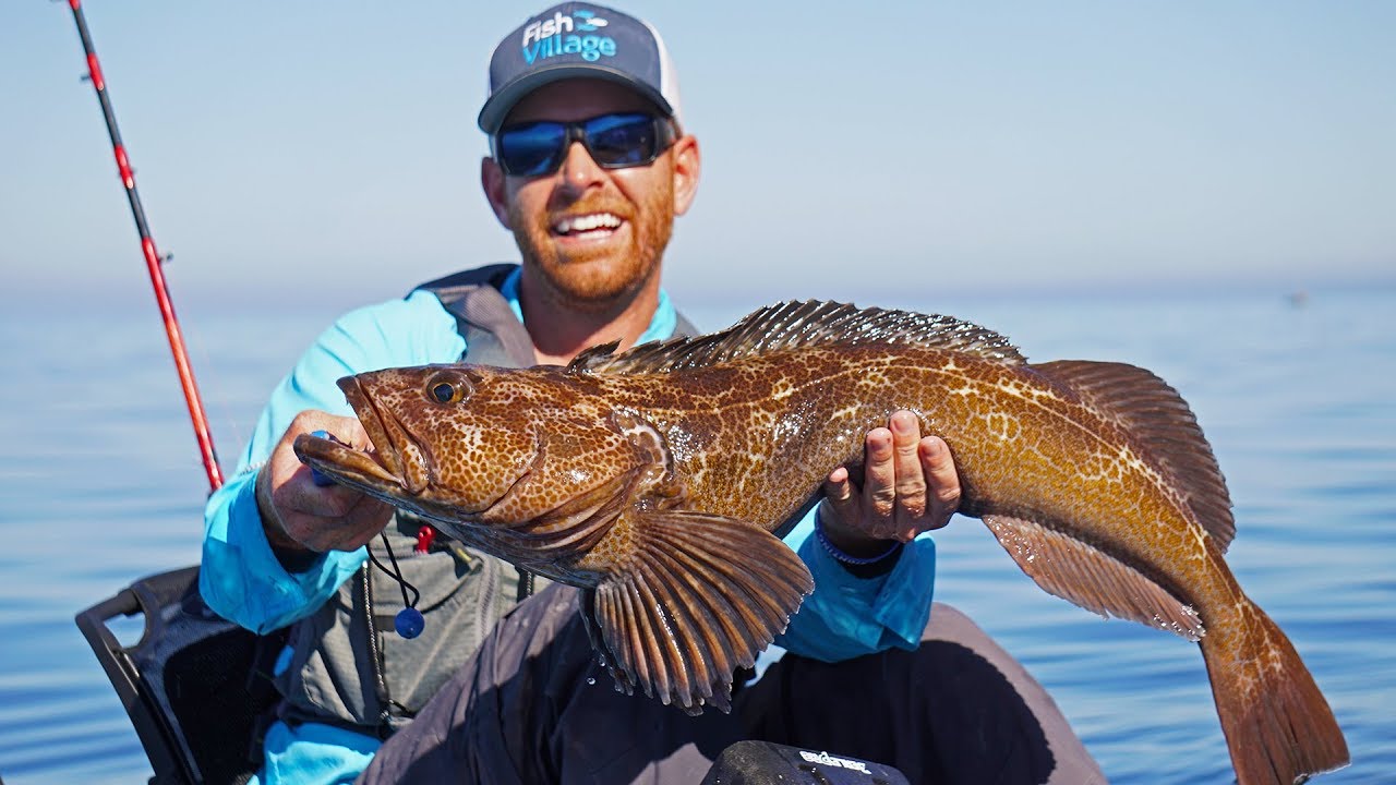 Kayak Fishing: Lingcod & Rockfish 60 Miles Out Field Trips