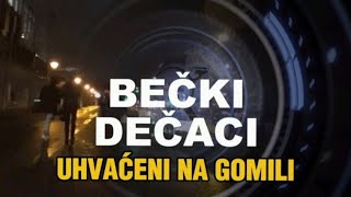 BEČKI DEČACI UHVAĆENI NA GOMILI - Balkanske prevare