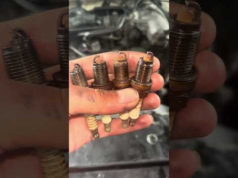 How to fix Honda civic white smoke easily solved #mechanic #enginepart #goodadvice #repair #follow