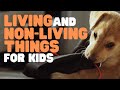 Exploring Living and Non-Living Things
