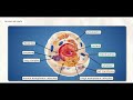 Exploring Cell Structure and Function