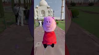 Peppa sees the WORLD #peppapig #googlemaps #weird