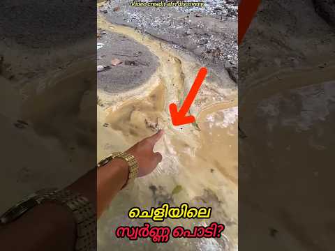 നദിയിലെ ചെളിയിൽ സ്വർണ്ണം കണ്ടുപിടിക്കുന്നതെങ്ങിനെ ?🤔🤔😱😱👌💯👍
