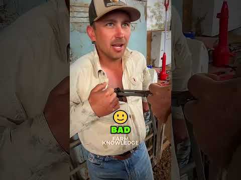 Surprisingly chill guy... 🤣😭#farming #trendingshorts #fyp