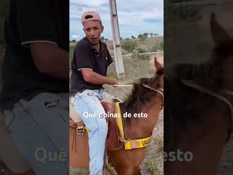 Jajajaja mira eso
