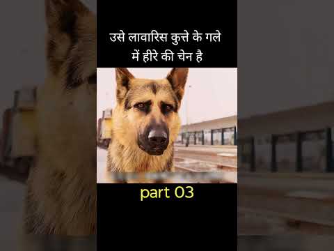 उसे लावारिस कुत्ते के गले में हीरे की चेन है पार्ट 3 #shorts #video