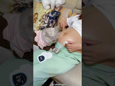 Emotional Cat Protects Pregnant Owner & Meets Newborn 🐱❤️👶