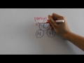 Plant Water Regulation and Stomata Functions