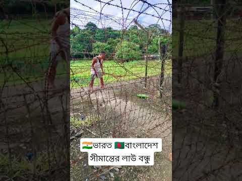 āĻāĻžāϰāϤ āĻŦāĻžāĻāϞāĻžāĻĻā§āĻļ āϏā§āĻŽāĻžāύā§āϤā§āϰ āϞāĻžāĻ āĻŦāύā§āϧ⧠āĻĻā§āĻā§āύ #indiabangladeshborder #indianvisa