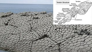 Understanding the Biological Origin and Destiny of Earth