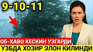 ШОШИЛИНЧ! УЗБЕКИСТАНДА ХАВО КЕСКИН УЗГАРДИ ТАЙЁР ТУРИНГ 