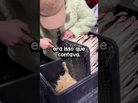 Que coisa existe na sua cultura e ninguém imagina?