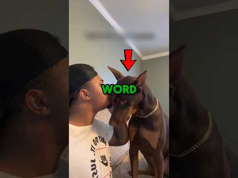 dogs go crazy when they hear their favorite word😂 #shorts #dog