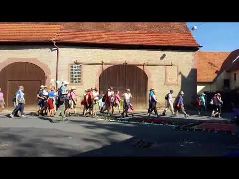 Walldürn-Wallfahrt 2018: Tag 4 - Der Chaos stiftende Blumenteppich #WalLingu18