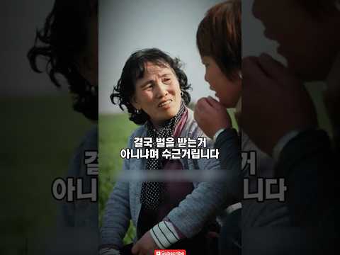 동네사람들이 수근거리던 이유 #감동 #형제 #형수